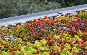 the cost of West Bromwich green roof installation